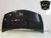 Motorhaube Renault Clio III Grandtour R 7751476113