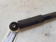 Stoßdämpfer Rechts Hinten 51857841 Fiat 500 (312) Schrägheck 1.2 (169.A.4000(Euro 5)) 2009-03