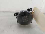 Nebelscheinwerfer Rechts Vorne 261507170R Renault Kangoo Express (RFK) Van 1.5 Blue dCi 115 (K9K-876) 2024