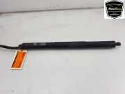 Heckklappenmotor 51247294470 BMW X5 (F15) SUV xDrive 35d 3.0 24V (N57-D30A) 2015-05