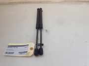 Gasdruckfeder Set Vorne 109147200B Tesla Model 3 Limousine Long Range AWD 75 kWh (3D7) 2020-06