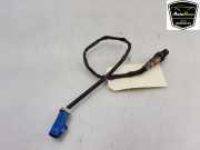 Lambdasonde 30757556 Volvo V70 (BW) Kombi 2.0 T 16V (B4204T6) 2011