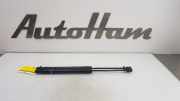 Gasdruckfedern Set Hinten 8U0827552B Audi Q3 (8UB/8UG) SUV 2.0 TDI 16V 150 (DBBA) 2015-07
