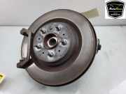 Achsschenkel Links Hinten 104441100F Tesla Model 3 Limousine Long Range AWD 75 kWh (3D7) 2019-12