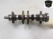 Kurbelwelle NIETAFLEESBAAR Volkswagen Golf VII Variant (AUVV) Kombi 1.5 TSI Evo BMT 16V (DPCA) 2020-08 DPCA