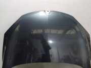 Motorhaube 651009018R Renault Megane III Grandtour (KZ) Kombi 5-drs 1.4 16V TCe 130 (H4J-700(H4J-A7)) 2010-06