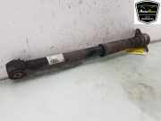 Stoßdämpfer Rechts Hinten 4G9513035F Audi A6 Avant (C7) Kombi 2.0 TDI 16V (CZJA) 2018-01