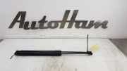 Gasdruckfedern Set Hinten 5G6827550C Volkswagen Golf VII (AUA) Schrägheck 2.0 TDI 16V (CRBC) 2013-09 CRBC