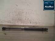 Gasdruckfedern Set Hinten 7701062024 Renault Megane II CC (EM) Cabrio 1.5 dCi (K9K-732) 2006