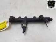 Einspritzdüsen Düsenstock 9674300080 Opel Vivaro Van 2.0 CDTI 177 (A0001E2F2.0 CDTI 177) 2020-03