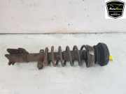 Stoßdämpfer Links Vorne Renault Trafic New (FL) Van 2.0 dCi 16V 90 (M9R-630(M9R-A6)) 2008-05