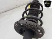 Stoßdämpfer Rechts Vorne 1S0413031B Volkswagen Up! (121) Schrägheck 1.0 12V 60 (CHYE) 2018-05 CHYE