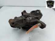 Achsschenkel Rechts Vorne 2E0407304N Volkswagen Crafter Ch.Cab/Pick-up 2.0 TDI 16V (CKUC(Euro 5)) 2012-05 CKUC(Euro 5)