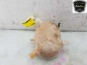 Ausgleichbehälter 25430Q0800 Hyundai i20 (BC3) Schrägheck 5-drs 1.0 T-GDI 100 Mild Hybrid 48V 12V (G3LF) 2021-05