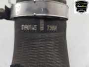 Intercooler Schlauch 8W0145738N Audi A4 Avant (B9) Kombi 2.0 40 TFSI Mild hybrid 16V (DMSA) 2020-11