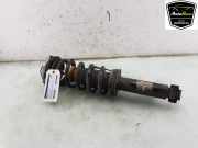 Stoßdämpfer Links Hinten 806750703 BMW X4 (G02) SUV M Competition 3.0 TwinPower Turbo 24V (A0001E1IM Competition 3.0 TwinPower Turbo 24V) 2020
