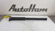 Stoßdämpfer Links Hinten 31317961 Volvo V40 (MV) Schrägheck 5-drs 2.0 D3 20V (D5204T6) 2015-03