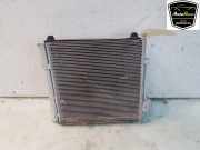 Kühler Komplett 600835800D Tesla Model S Liftback P100D (L2S) 2020
