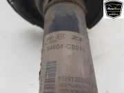 Stoßdämpfer Rechts Vorne 54604C8010 Hyundai i20 (GBB) Schrägheck 1.0 T-GDI 100 12V (G3LC) 2016