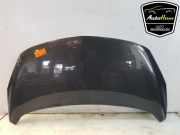 Motorhaube Opel Meriva B 95514648