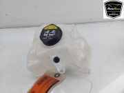 Ausgleichbehälter 31465682 Volvo V60 II (ZW) Kombi 2.0 T6 16V Plug-in Hybrid AWD (B4204T52) 2021-11