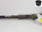 Stoßdämpfer Links Hinten 9J1513029C Porsche Taycan (Y1A) Limousine 4S (EBFA) 2021-09