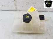 Ausgleichbehälter 217104048R Renault Megane IV Estate (RFBK) Kombi 5-drs 1.3 TCE 160 16V (H5H-490(H5H-E4)) 2023-02