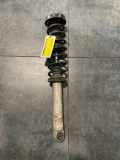 Federbein Links Hinten 1039133056A BMW 5 serie (E39) Limousine 520i 24V (M52-B20) 1999