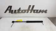 Gasdruckfedern Set Hinten 2G6827550A Volkswagen Polo VI (AW1) Schrägheck 5-drs 1.0 TSI 12V (DKLA) 2018-08 DKLA