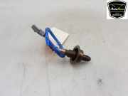 Lambdasonde 2165007920 Renault Clio V (RJAB) Schrägheck 5-drs 1.6 E-Tech 140 16V (H4M-632(H4M-C6)) 2021-04