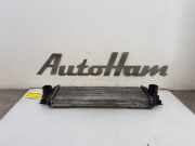 Ladeluftkühler 91166035 Opel Vivaro Van 1.9 DTI 16V (F9Q-760) 2006-03