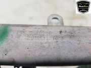 Einspritzdüsen Düsenstock 175204021R Renault Clio V (RJAB) Schrägheck 5-drs 1.0 TCe 90 12V (H4D-470(H4D-E4)) 2021-03