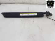 Sonnenblende 110841826C Tesla Model X SUV 75D (A0003K8775D) 2018-12