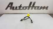 Lambdasonde 3921004130 Kia Picanto (JA) Schrägheck 1.0 T-GDI 12V (G3LC) 2018-11