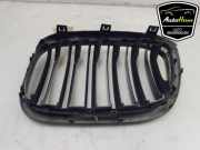 Kühlergrill BMW X3 G01, F97 192976