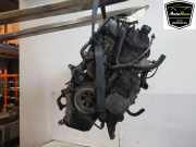 Motor 0135LH Peugeot Boxer (U9) Bus 3.0 HDi 160 (F1CE0481D(SOFIM)) 2009