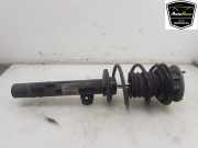 Stoßdämpfer Rechts Vorne 31316796440 BMW Z4 Roadster (E89) Cabrio sDrive 20i 2.0 16V (N20-B20A) 2016-05