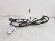 Pdc Sensor Set NU5T15K859FA Ford Focus 4 Wagon Kombi 1.0 EcoBoost 12V Hybrid 155 (M0DC) 2023-09