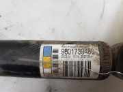 Stoßdämpfer Links Hinten 9801739480 Citroën C3 (SC) Schrägheck 5-drs 1.2 VTi 82 12V (EB2F(HMZ)) 2014-11