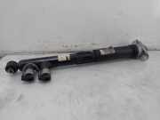 Stoßdämpfer Rechts Hinten 5QS512037BG Volkswagen Tiguan (CT1) SUV 1.5 eHybrid 272 (DUCA) 2025-06 DUCA