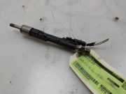 Kraftstoff-Injector 13647639994 BMW X3 (F25) SUV xDrive 20i 2.0 16V Twin Power Turbo (N20-B20A) 2017-05