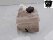 Ausgleichbehälter 254301J000 Hyundai i20 Schrägheck 1.4i 16V (G4FA) 2010