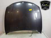 Motorhaube BMW 1er E87 41627162102