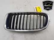 Kühlergrill links BMW 3er F30, F80 51137255411