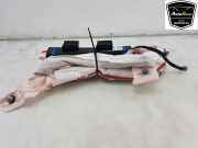 Dachairbag Rechts 100526200E Tesla Model S Liftback 75 (L1S) 2016-12