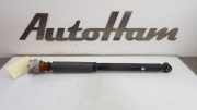 Stoßdämpfer Links Hinten AP3118080BG Ford B-Max (JK8) Großraumlimousine 1.6 Ti-VCT 16V (IQJA) 2015
