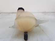 Ausgleichbehälter BK218K218AF Ford Transit Custom Van 2.2 TDCi 16V (DRFF(Euro 5)) 2014