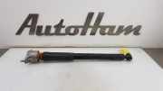 Stoßdämpfer Links Hinten A1173201131 Mercedes-Benz A (W176) Schrägheck 1.5 A-180 CDI, A-180d 16V (OM607.951(K9K-B6)) 2017-11