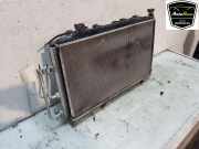 Kühler Komplett 9848127580 Peugeot 208 II (UB/UH/UP) Schrägheck 5-drs e-208 (A0001E2Ge-208) 2022