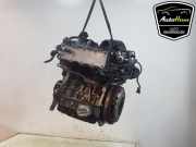 Motor ohne Anbauteile (Benzin) VW Tiguan II AD 04E100034E